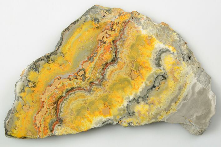 Polished Bumblebee Jasper Slab - Indonesia #194360